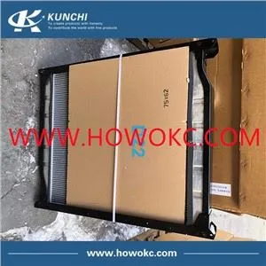 Sinotruk HOWO WG9719530231 Radijator